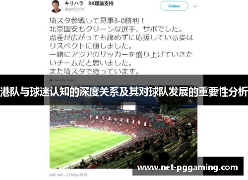 港队与球迷认知的深度关系及其对球队发展的重要性分析