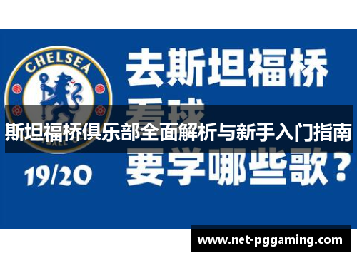 斯坦福桥俱乐部全面解析与新手入门指南