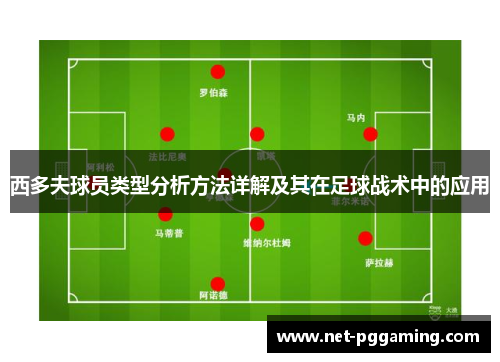 西多夫球员类型分析方法详解及其在足球战术中的应用