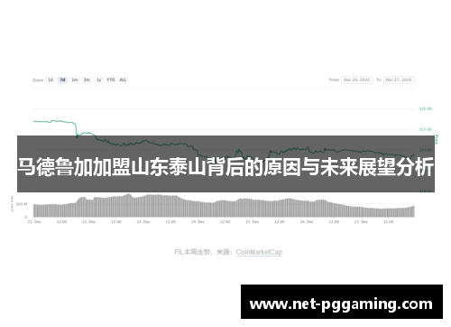 马德鲁加加盟山东泰山背后的原因与未来展望分析