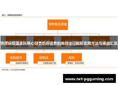 快速获取国家队核心球员伤停信息的高效途径解析实用方法与渠道汇总