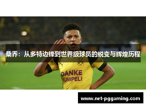 桑乔：从多特边锋到世界级球员的蜕变与辉煌历程