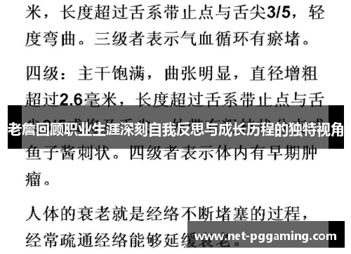 老詹回顾职业生涯深刻自我反思与成长历程的独特视角 老詹回顾职业生涯深刻自我反思与成长历程的独特视角
